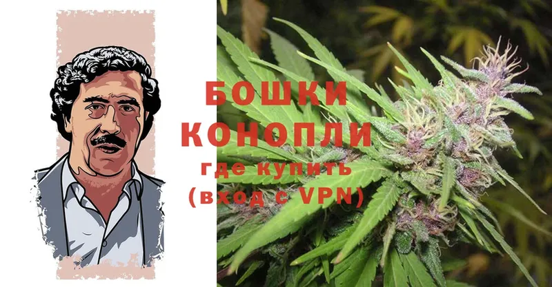 Канабис OG Kush  как найти наркотики  Северск 